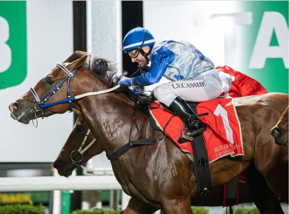 Lame One Day, Dead the Next – The Passing of Thunder Mania, Aged Just Eight