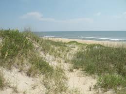 Belle Sets Us Straight on Somebeachsomewhere