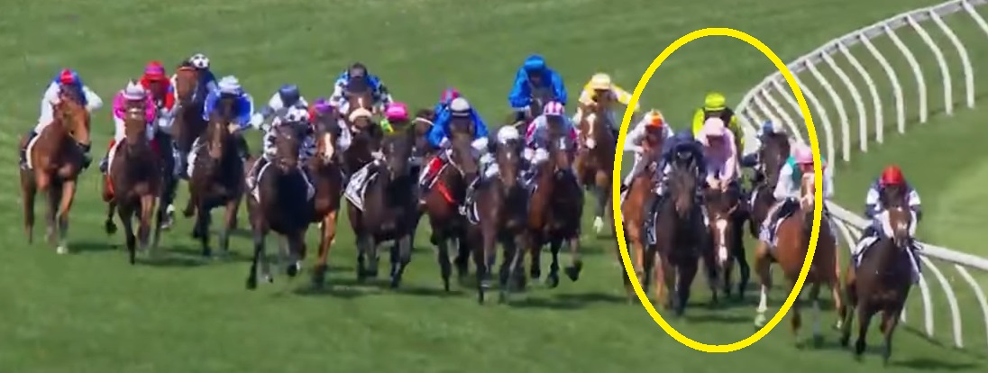 Racing Victoria’s Report into the Death of Anthony Van Dyck in the Melbourne Cup is a Con Job and a Crock – Read Why Here (First Published April 2021)