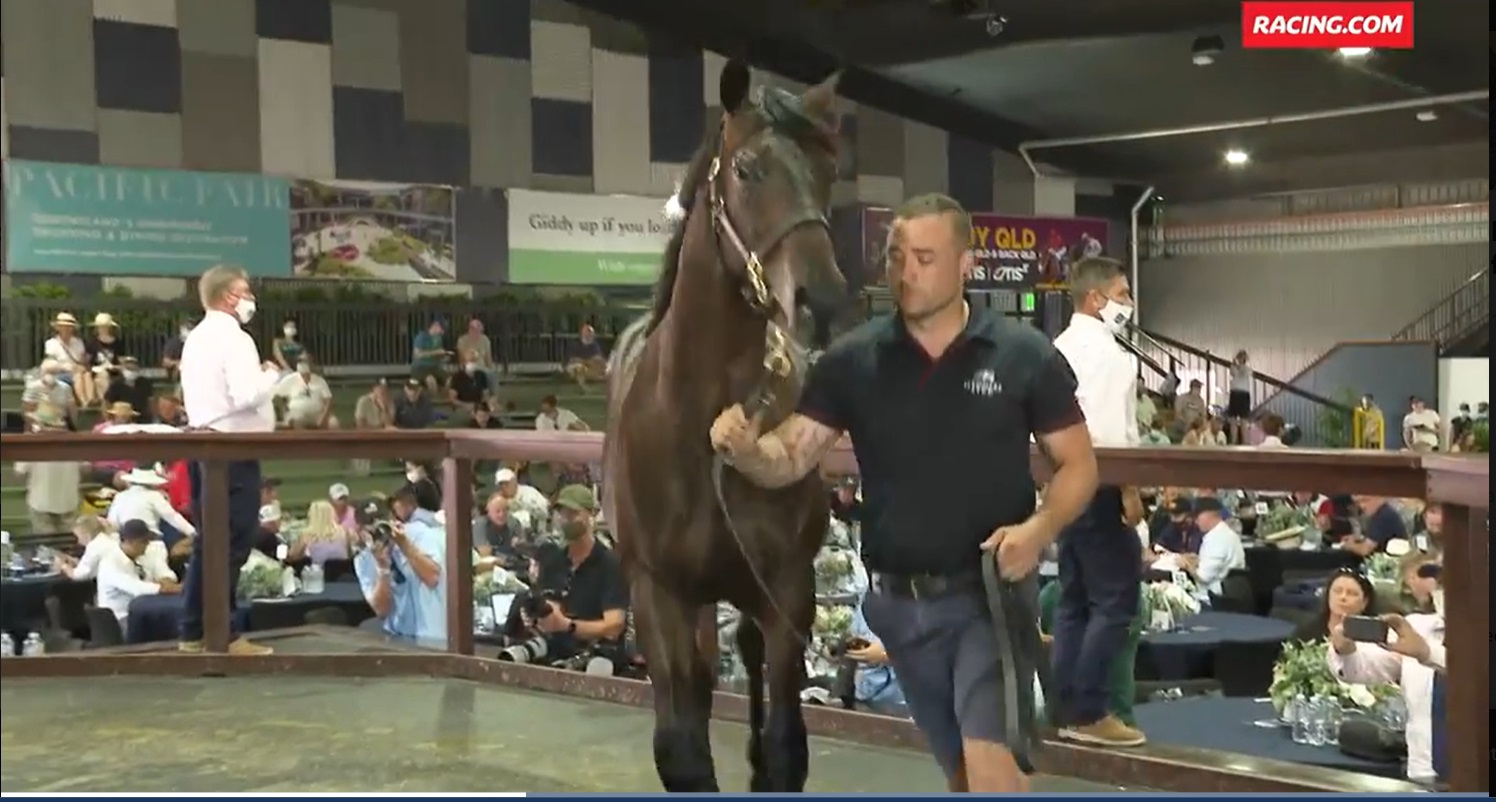 The Magic Millions Smash the COVID-19 Health Direction Laws Into a Million Little Pieces – Part 1 – Inside the Sales Arena