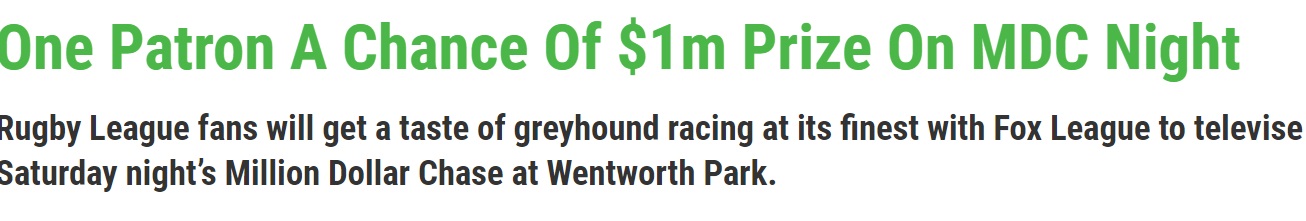 Greyhound NSW Show the World How to Put Your Sport in the Spotlight, and Get People Back to the Track