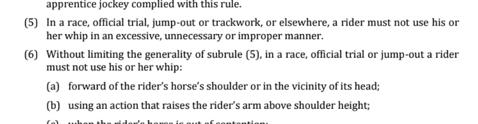 Why Have a Whip Rule at All if You Are Going to Apply it Like This