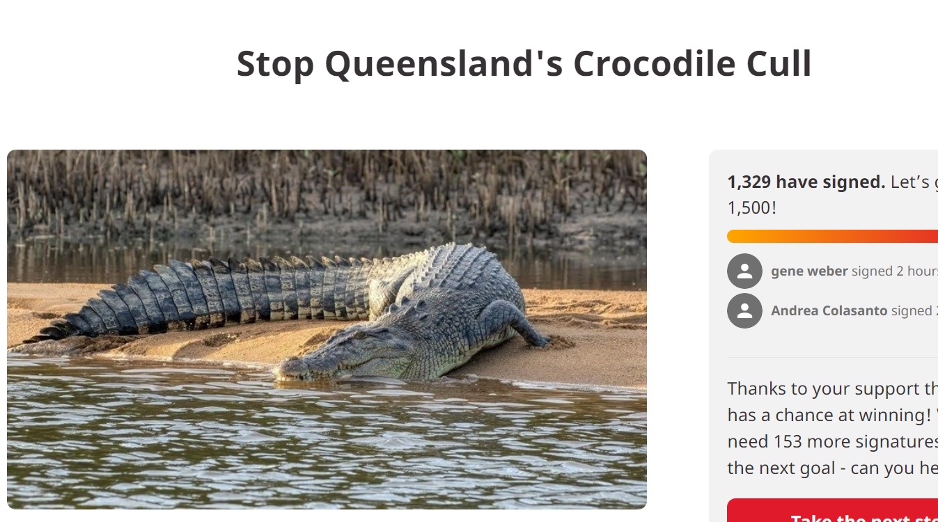 Stop Killing the Crocs – Who is Going to Eat the Bad Guys When They Are Gone?