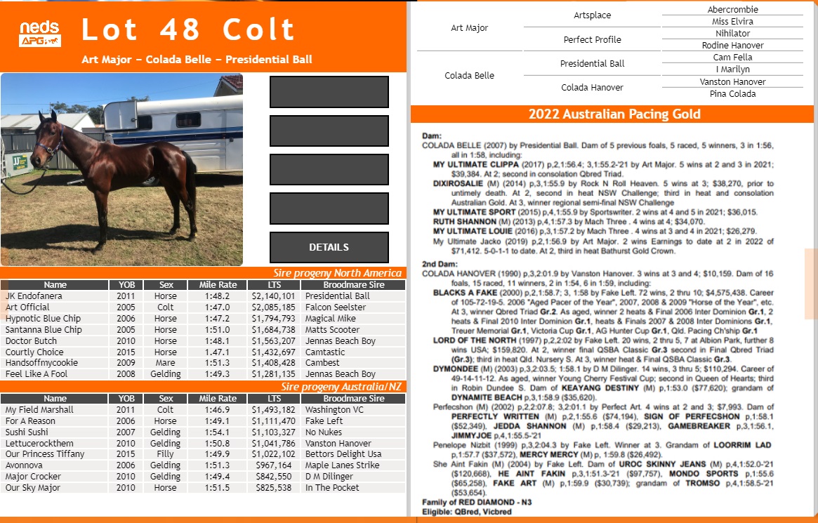 The Buy of the Century – $40 000 For a 2YO Who Ran 2nd in a Group 1 Just a Fortnight Before