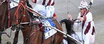 Queensland Harness Racing Great Flashing Red Has Died Aged 25