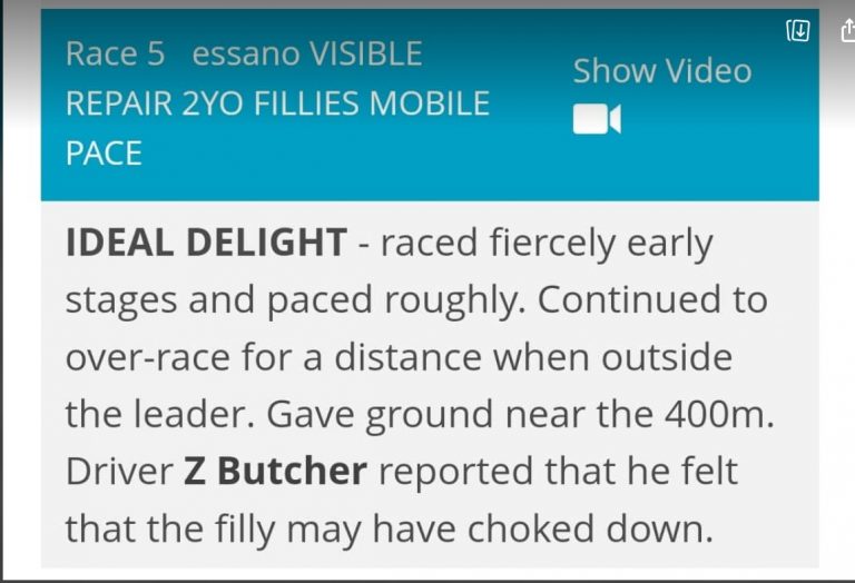 more-inexplicably-bad-runs-from-young-telfer-pacers-a-four-legged-lottery