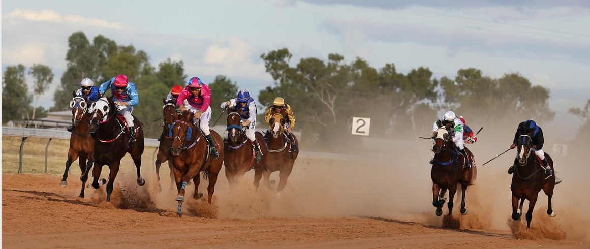 The Country Racing Year in Review – And Bush Racing’s Hopes For the Future