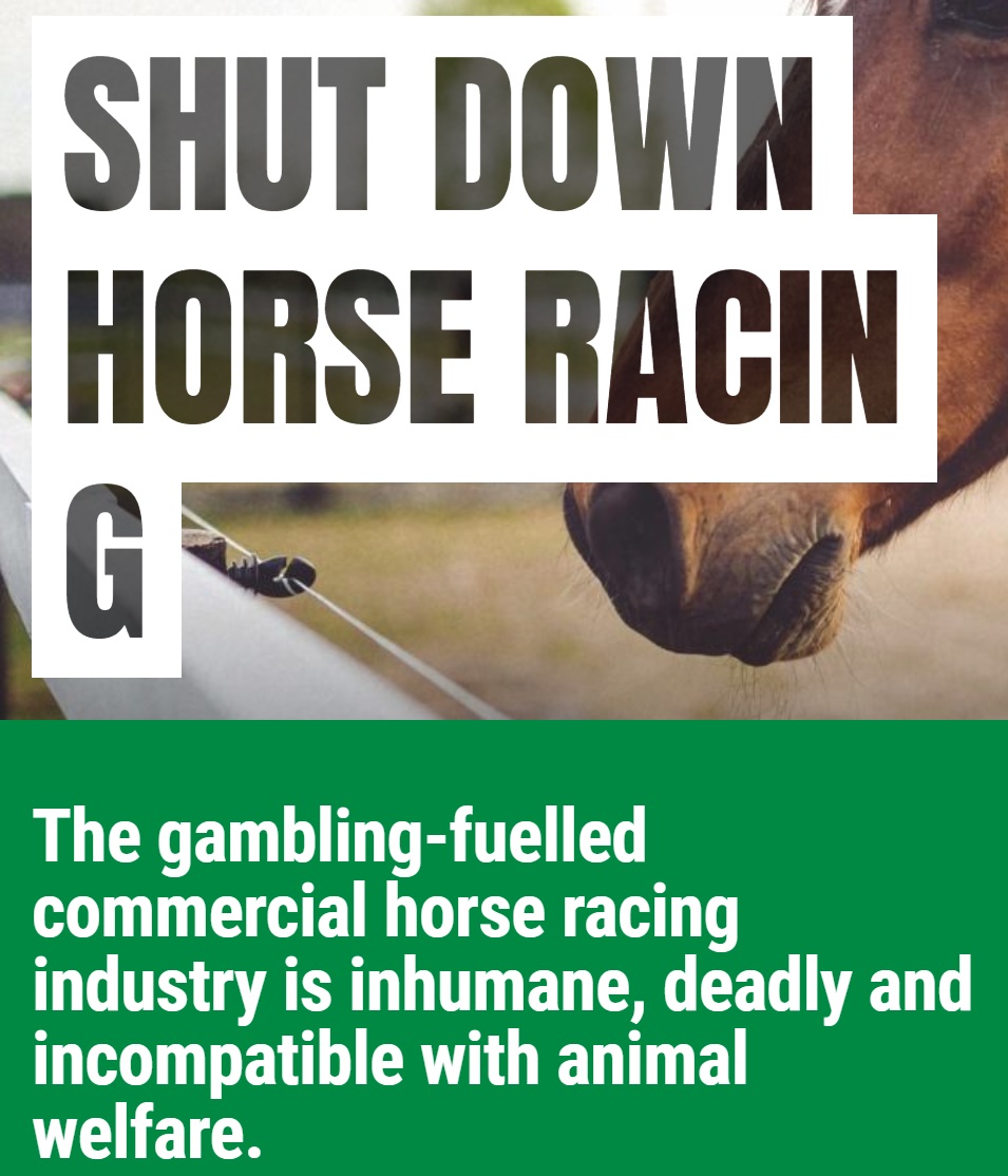 Why No Racing Person Should Ever Vote Green – They Hate Us, So Why Should We Like Them? – Perhaps Racing Victoria Can Explain