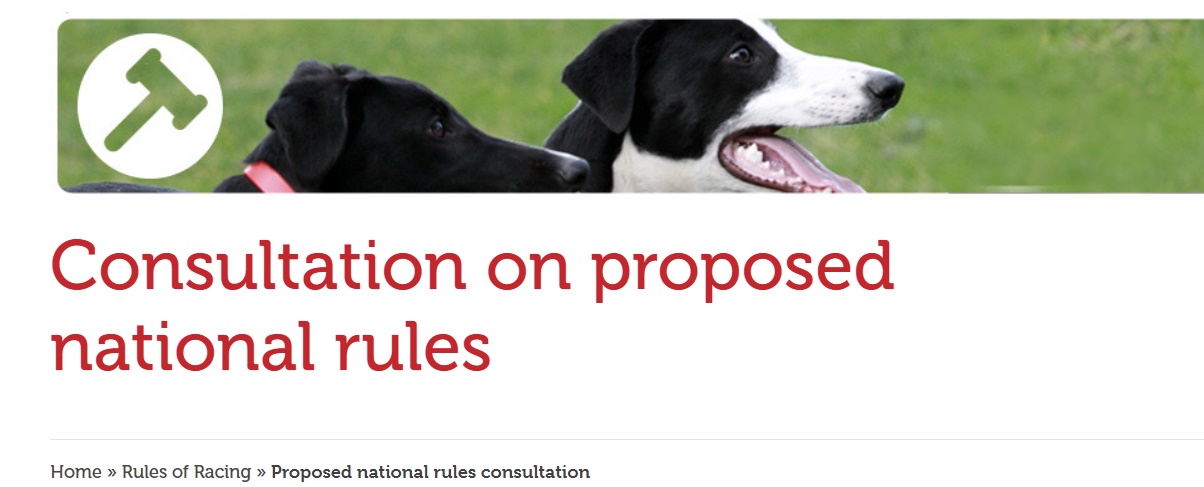 Has Anyone Got a Translator Handy? – These Proposed New National Greyhound Rules are Crazy