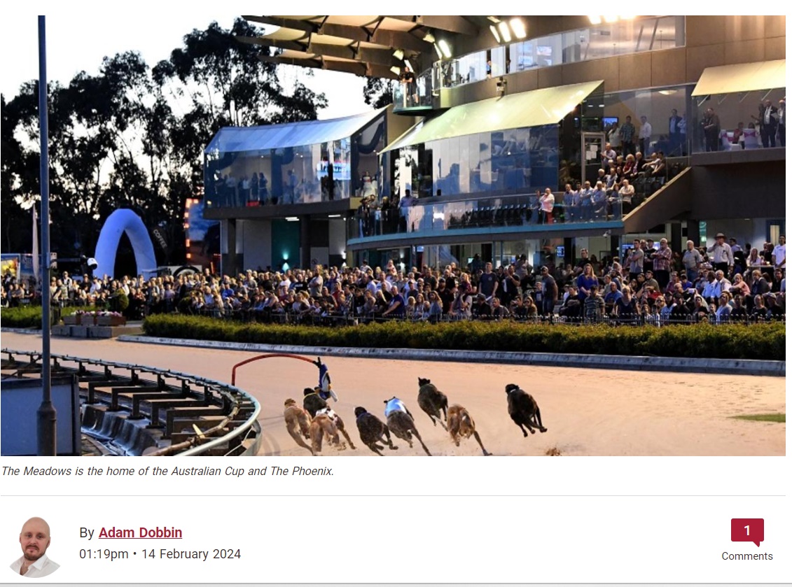 Bombshell Report Casts Doubt over Two-Turn Victorian Greyhound Racing