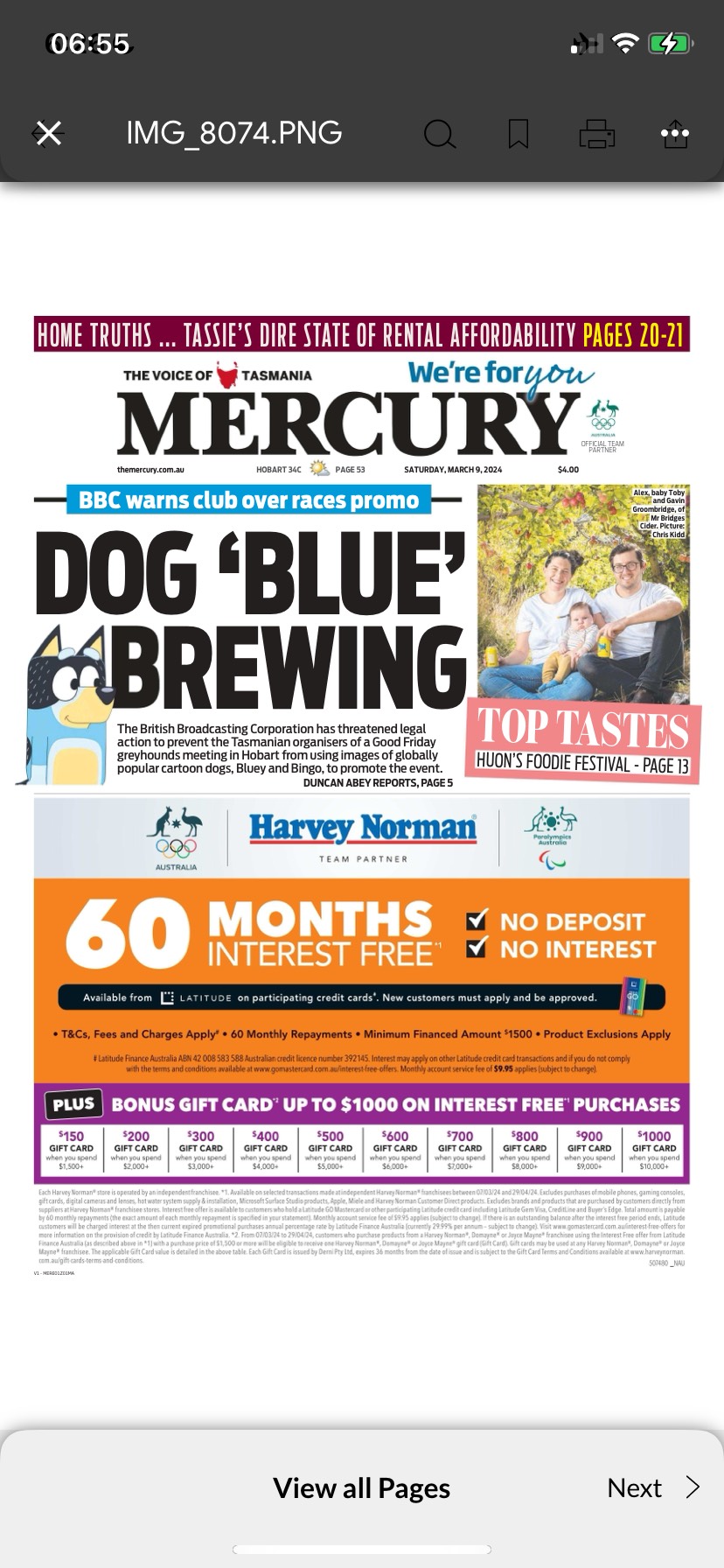 Tasmanian Racing Get Into a Blue About Dogs
