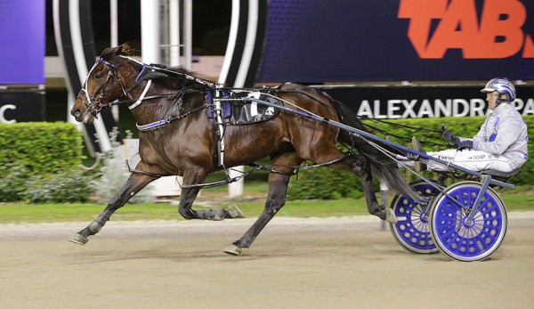 New Zealand Trotting Cup Day Preview and Tips