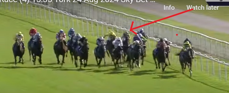 Melbourne Cup Hope Sea King’s Amazingly Unlucky Run in the Ebor