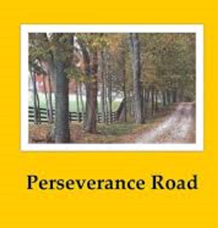 Who Ever Said Perseverance Pays Rewards? – They Lied