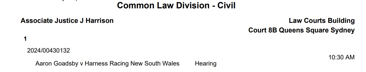 Goadsby v HRNSW – The Appeal of the Year