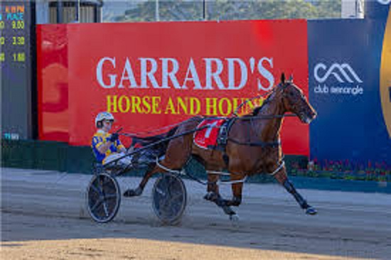 QLD Harness Racing Industry Shocked by Arrest of Prominent Owner on Alleged Drug Trafficking Charges
