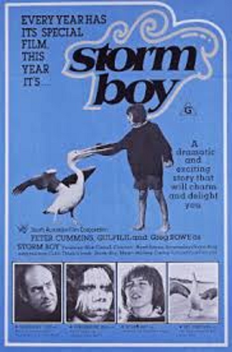 Storm Boy is Stuffed – Coolmore’s 50 Million Bucks is Confetti