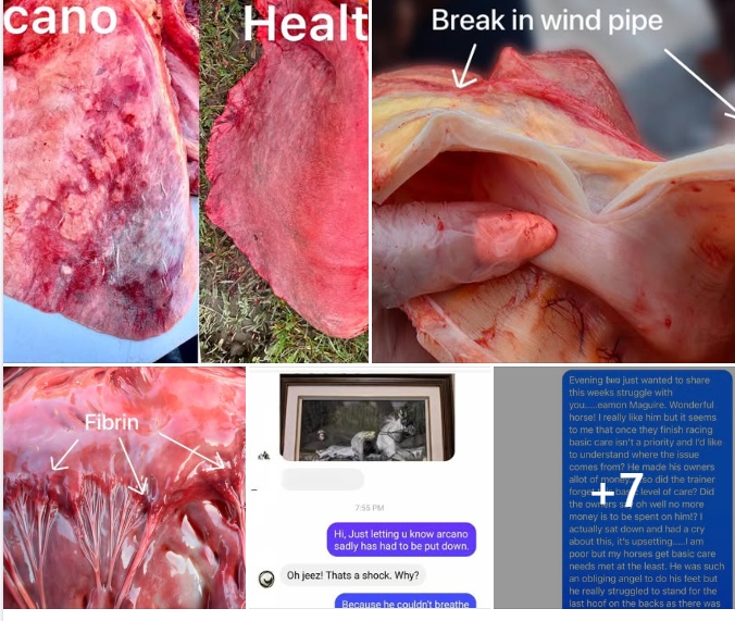 Racing’s Dirty Little Secrets