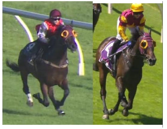 They Don’t Look Muck Alike Do They?