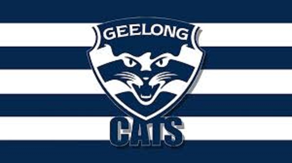 Who Wins the Flag This Year?- A Lion or a Cat?