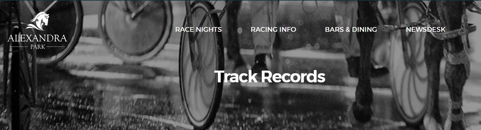 In Fake Latin the Auckland Trotting Club Trusts