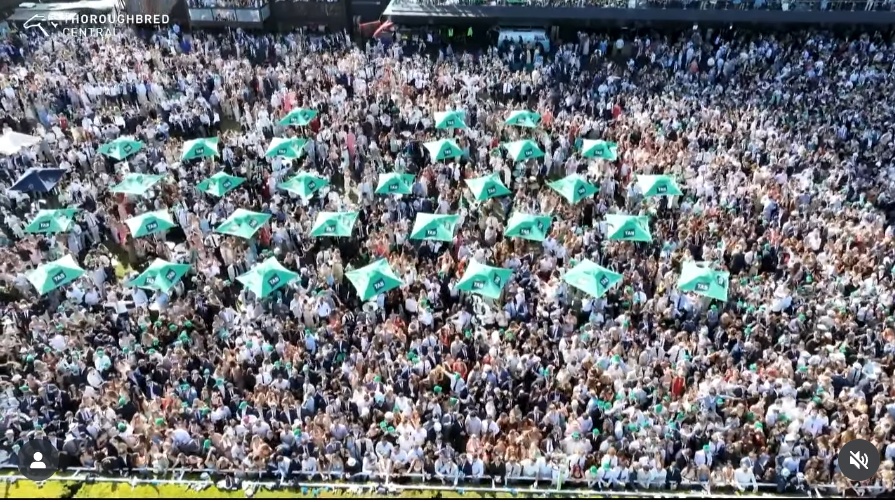 A Picture Tells a Thousand Words