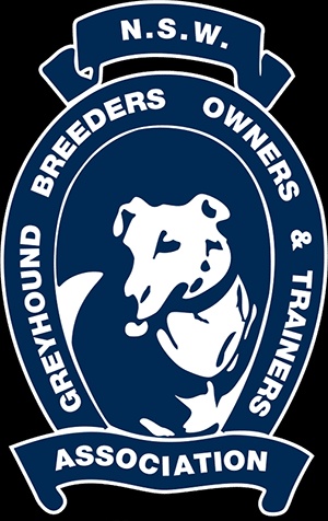 NSW GBOTA Calls Out Newcastle Greens’ Attention Seeking and Land Grab Agenda