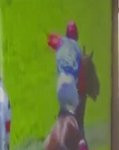 What a Disgrace – Give This Brute a Spell