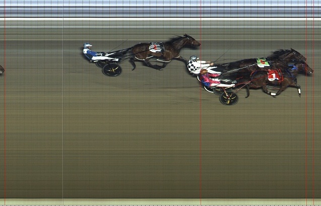 Larry Gets Rolled At 20-1 On – Is it Any Wonder All Horse Players Die Broke?