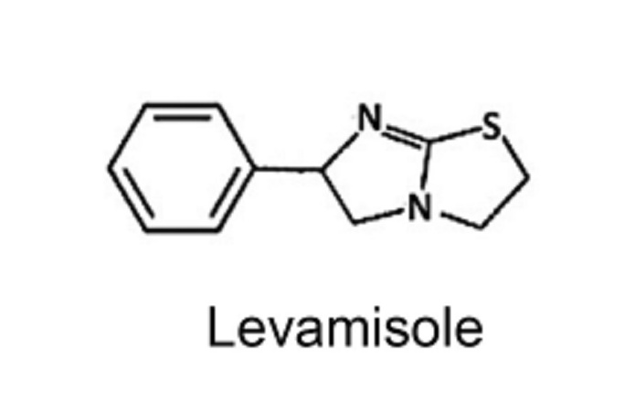 Discovery of Levamisole in Commercial Horse Wormer Throws the Hanging State’s Disqualification Regime into Disarray