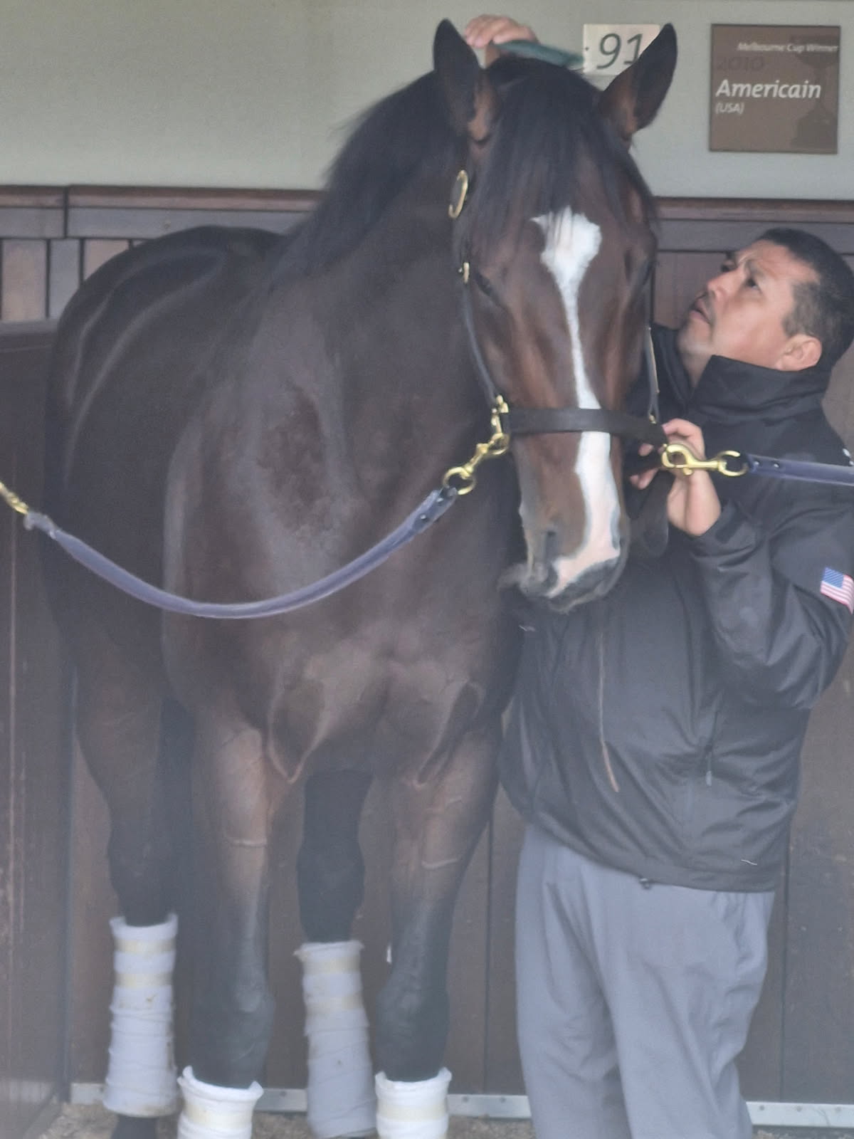 A Much Better Looking Horse Than His President