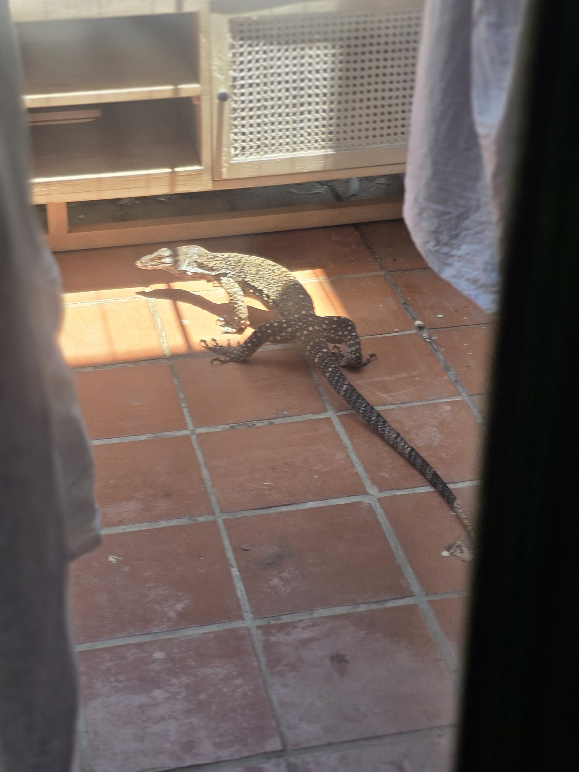 Something is Very, Very Wrong With The Cambridge Books – I Don’t Trust Dave Branch Anymore, Do You?