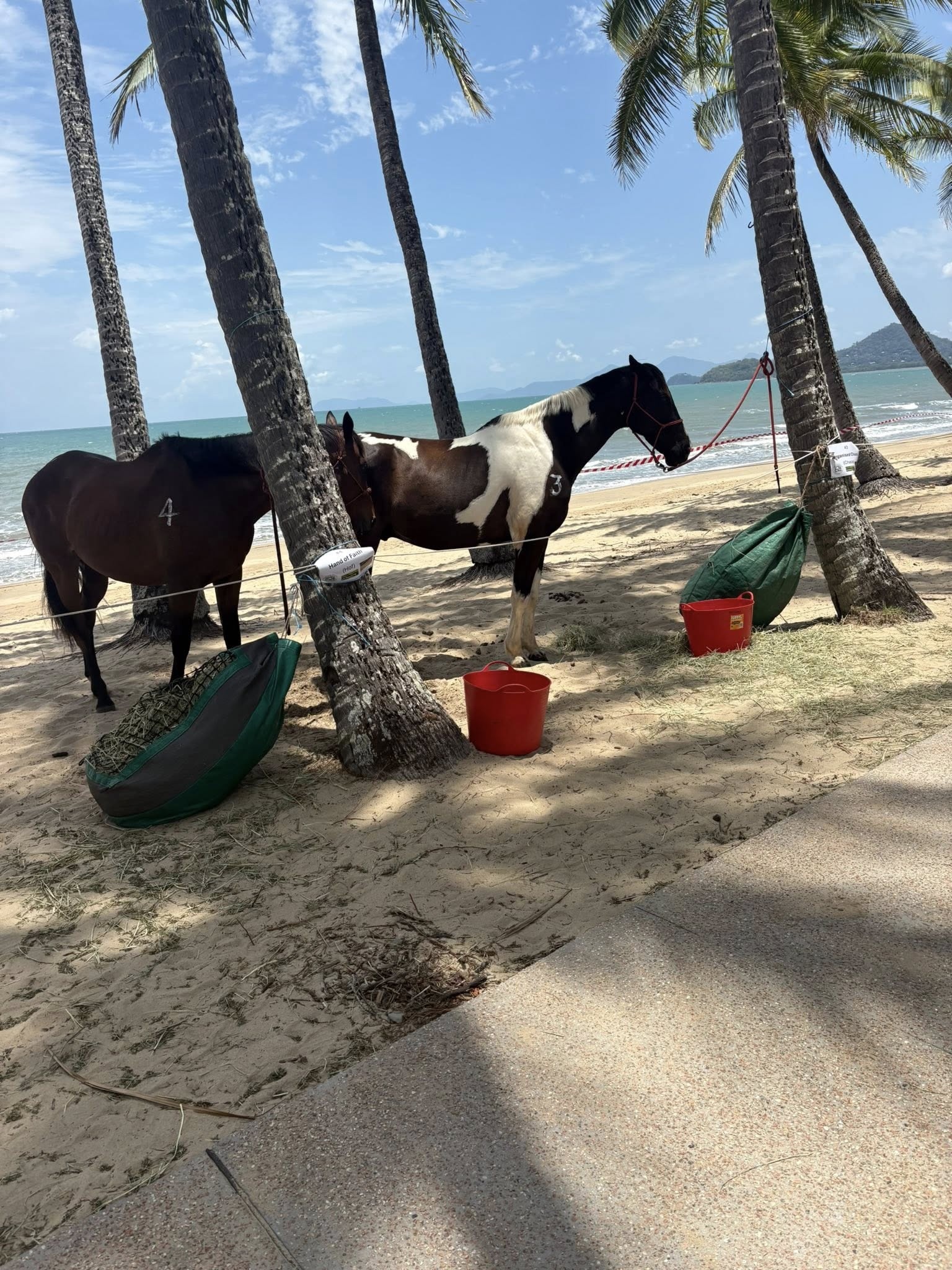 How We Do Cup Day in the Far North When They Don’t Give Us a Race Meeting