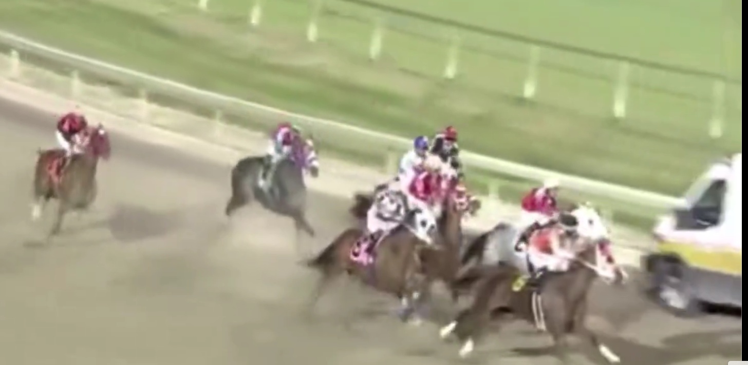 You Dangerous Bloody Idiots!