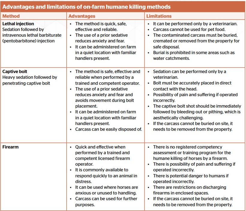 Peter V’Landys is Right – The Breeders Do Want to Kill Horses – They Want to Shoot Them in the Head