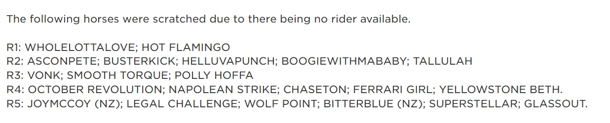 A Rider, A Rider – My Kingdom For a Rider