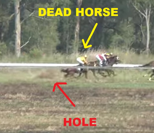 QRIC Must Launch a Full Investigation into the Unnecessary Death of Time To Turn