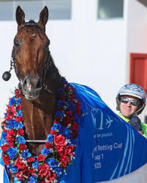 King Cool Hand Luke McCarthy