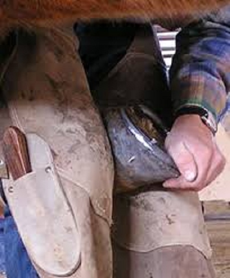 For the Want of a Horseshoe Nail a Kingdom Was Once Lost – So C’mon Racing Appeals Panel, Lift Your Game