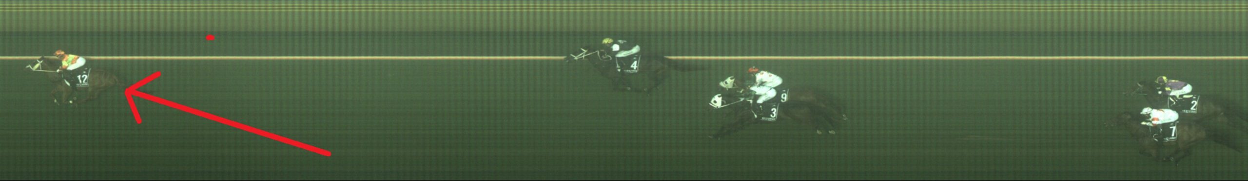 Nice Try Anthony Collins – But You’re Sprung!