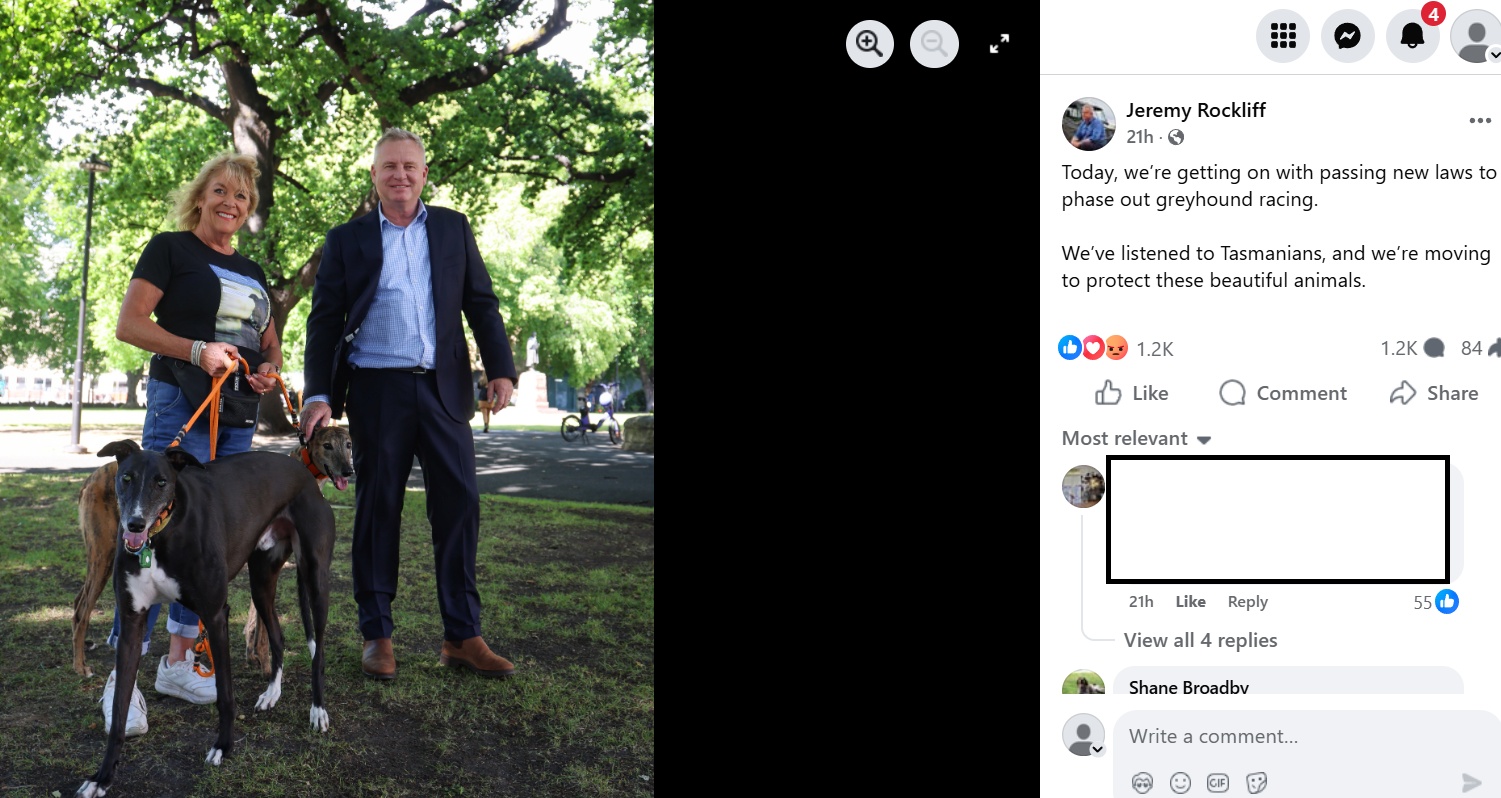 Protect The Beautiful Greyhounds By Making Them Extinct – We Call That Canine Genocide in Geebung Premier