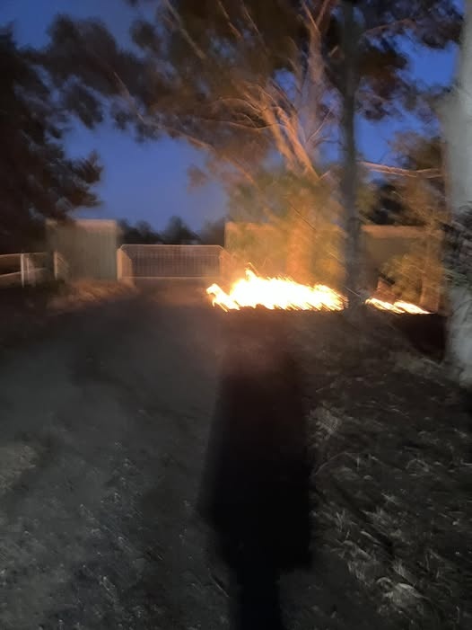 SA Trot Trainers Home Firebombed in Suspected Targeted Attack