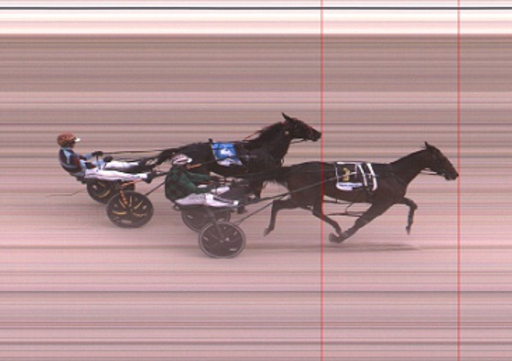 Thesting – Looks Can Be Deceiving