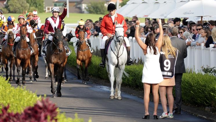 The Birch is Back – Big Time