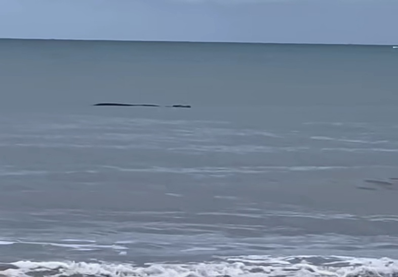 FFS – It’s Not the Loch Ness Monster