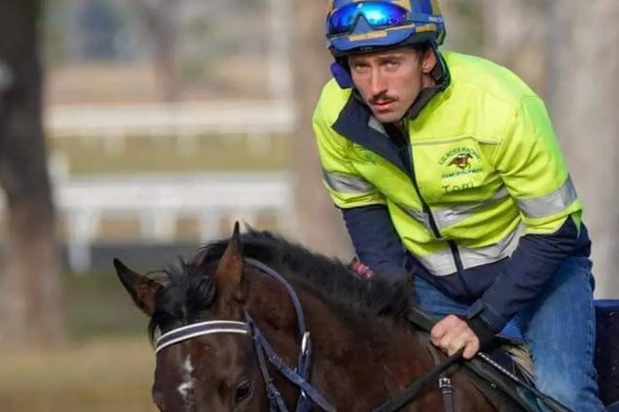 Apprentice Error or Official Negligence? – You Be the Judge