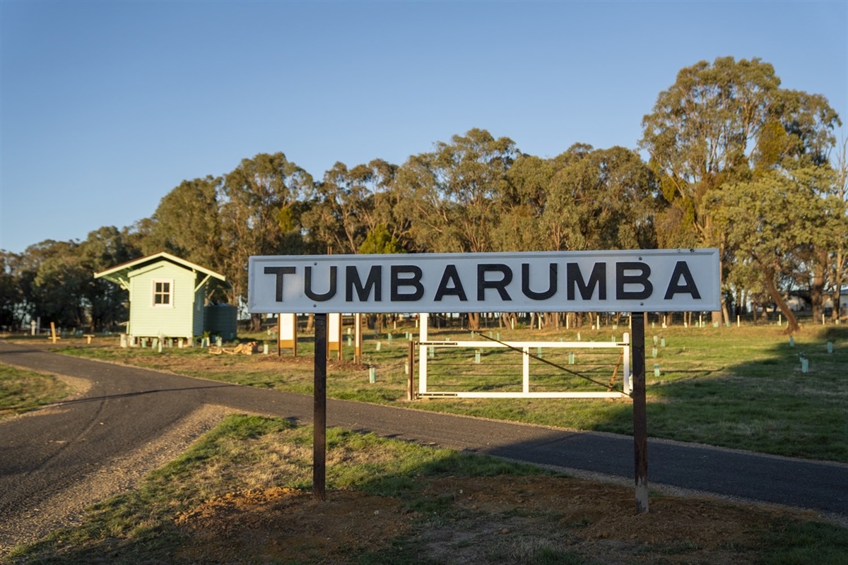 If You Want Your Tumba Rumba’d Get to the Track Today