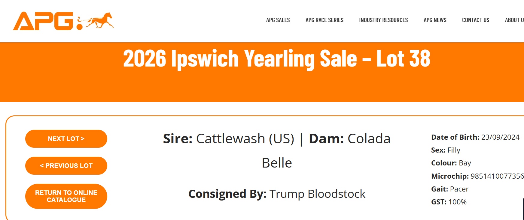 How Can Anyone Sell a Horse That’s Blind in One Eye? – Easy – Shut The Other One Too