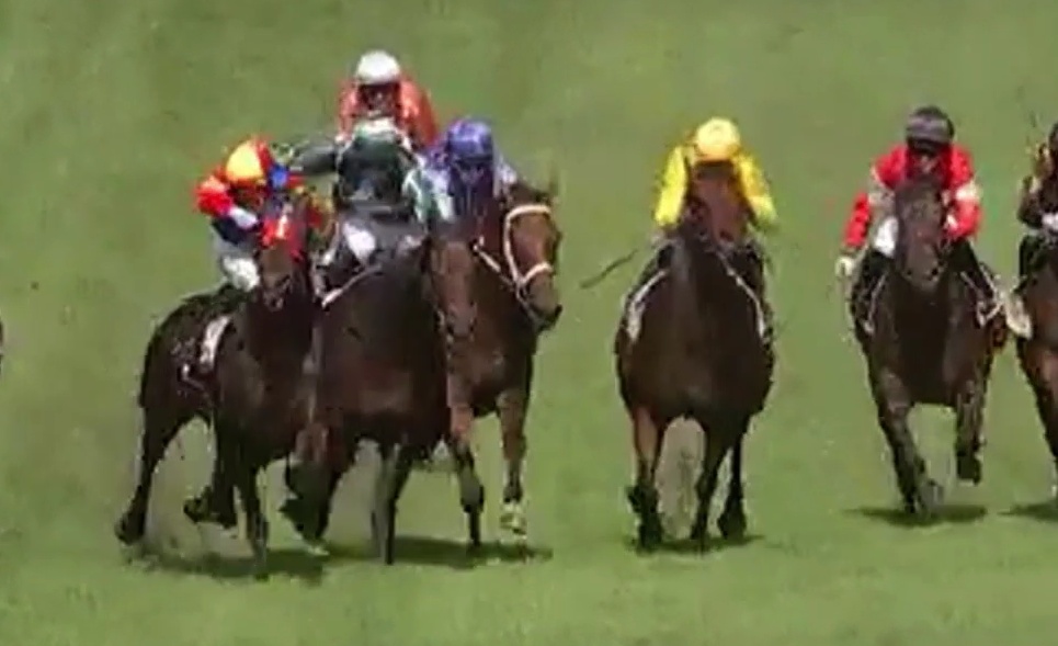 You Would Have to Be Kidding – The QLD Chief Steward is a Joke