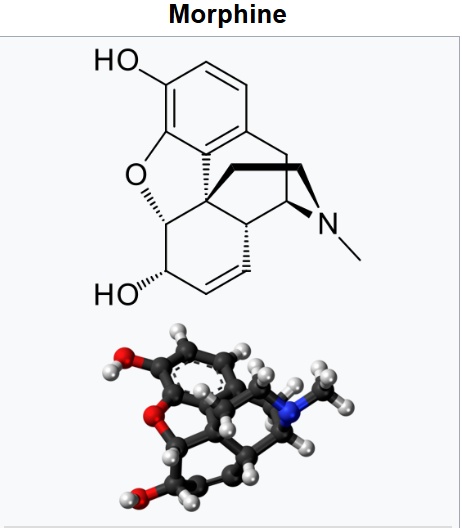 I Guess Jason Grimson’s Just Special